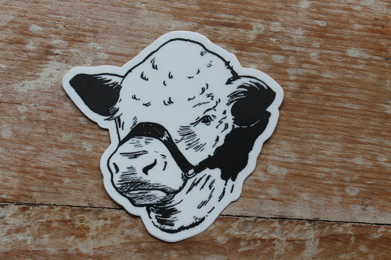 Old Fashioned Polled Hereford Sticker